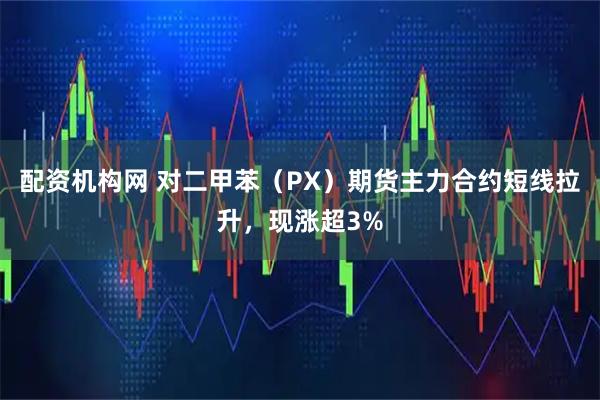 配资机构网 对二甲苯（PX）期货主力合约短线拉升，现涨超3%